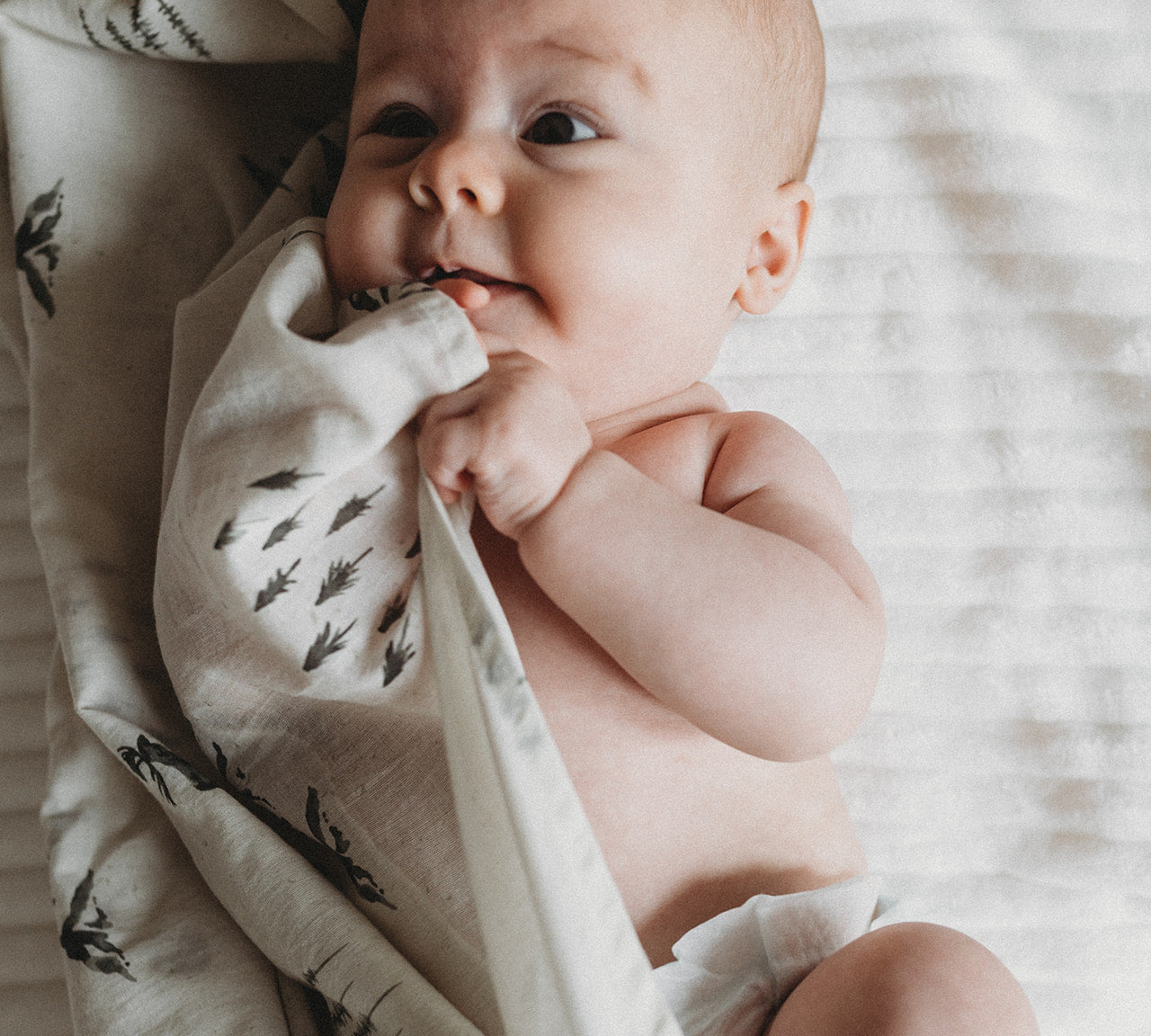 Newborn Swaddle Blankets