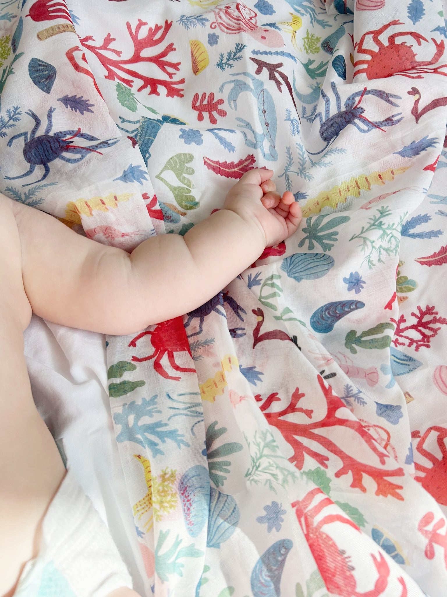 Introducing the latest muslin in the collection