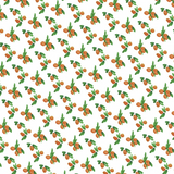 100% Organic Cotton Muslin (Clementines of Barcelona)