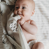 Newborn Swaddle Blankets