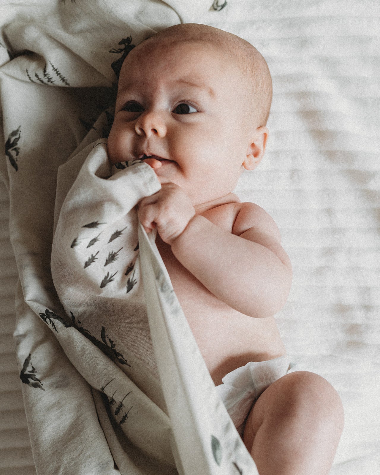 Newborn Swaddle Blankets