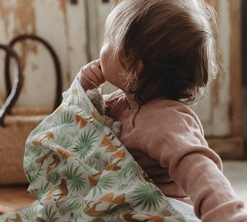 Large Muslins for Babies 
