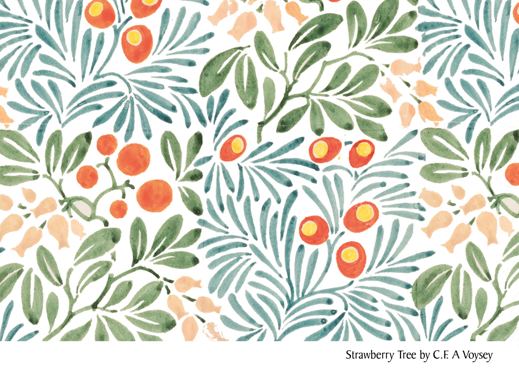 Printed Cotton Muslin 