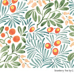 Printed Cotton Muslin 
