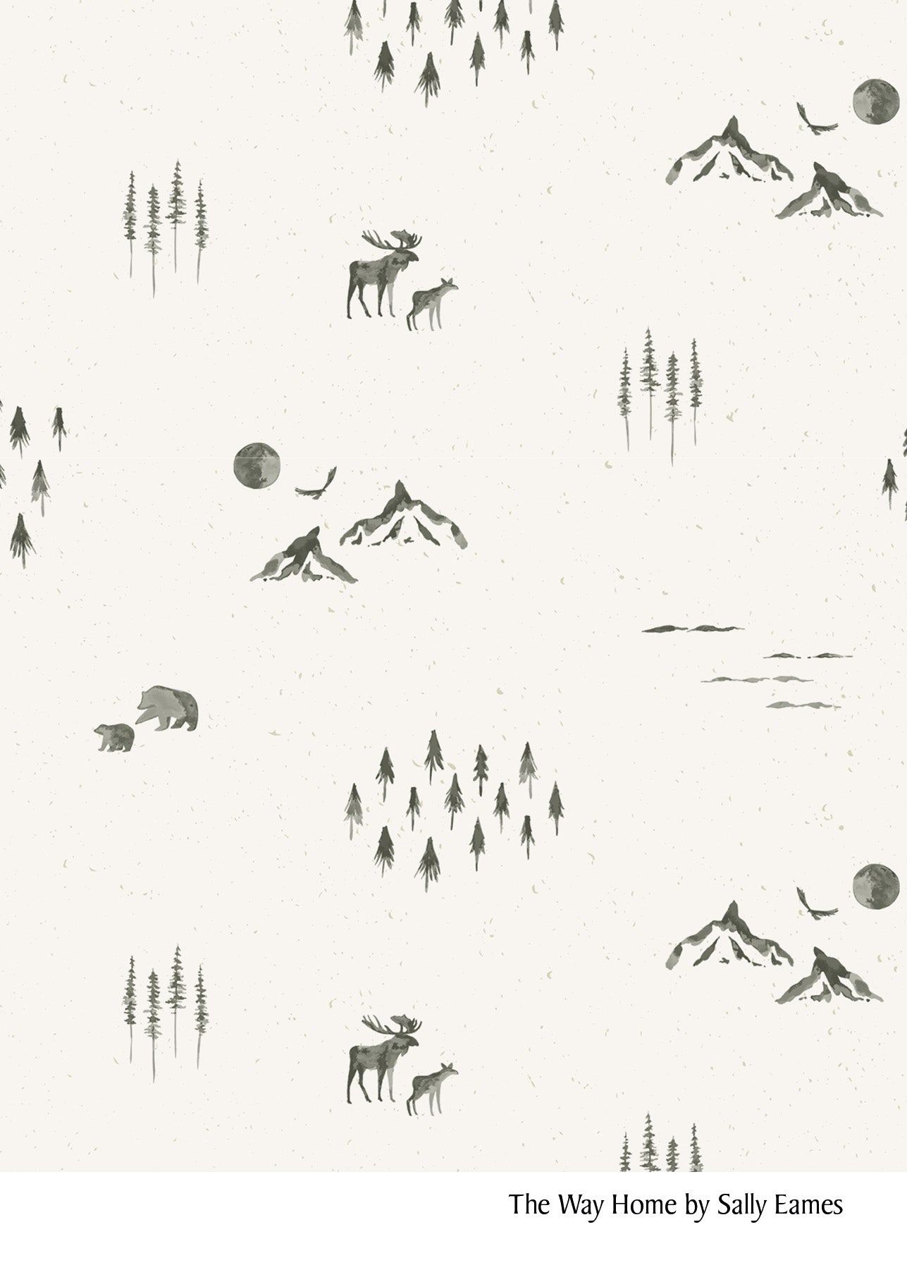 Newborn Swaddle Blankets
